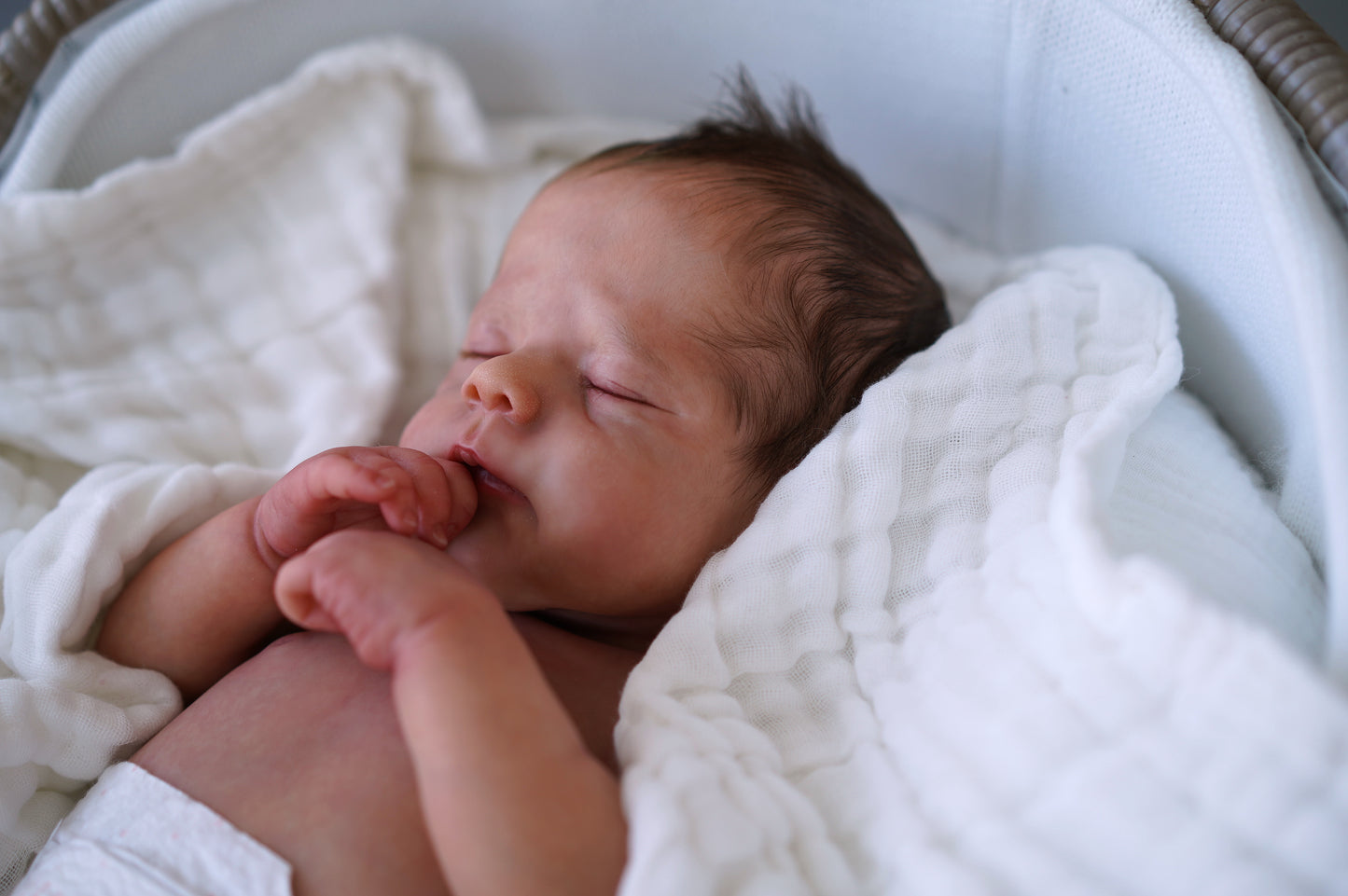 Baby Erica - Prototipo de Joanna Kazmierczak-Pietka, Reborn de Alexa Calvo