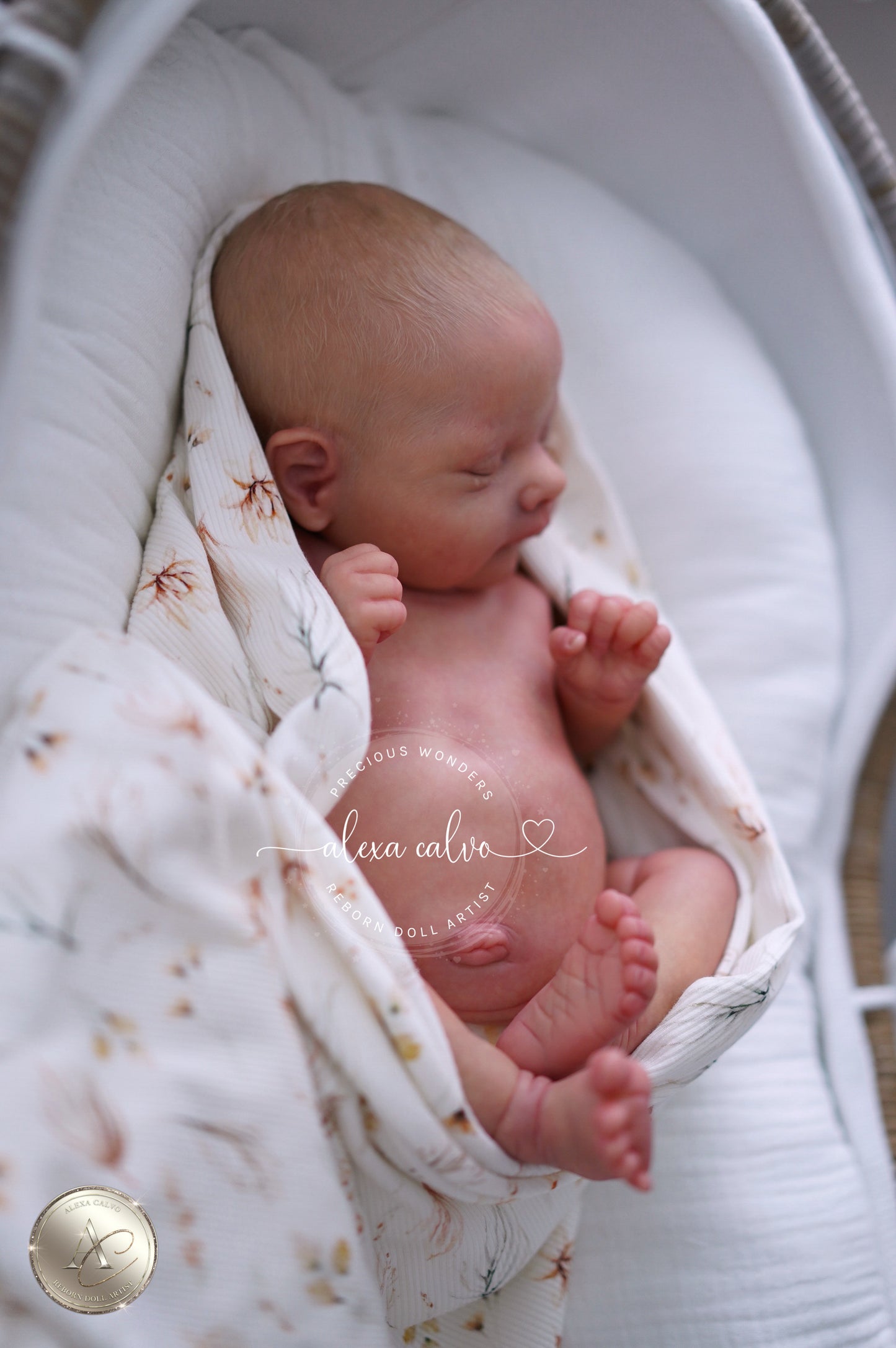 Baby Lucas - Prototipo de Cassie Brace, Reborn de Alexa Calvo 