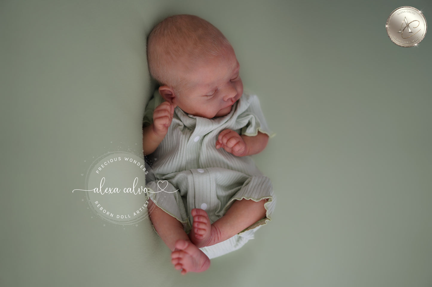 Baby Lucas - Prototipo de Cassie Brace, Reborn de Alexa Calvo 