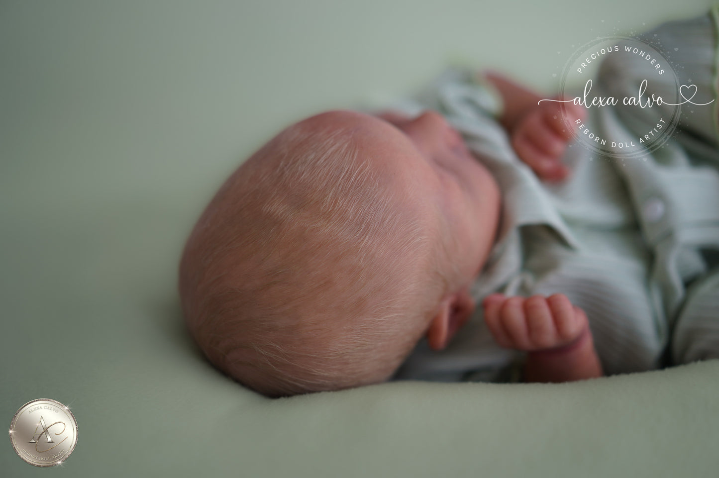 Baby Lucas - Prototipo de Cassie Brace, Reborn de Alexa Calvo 