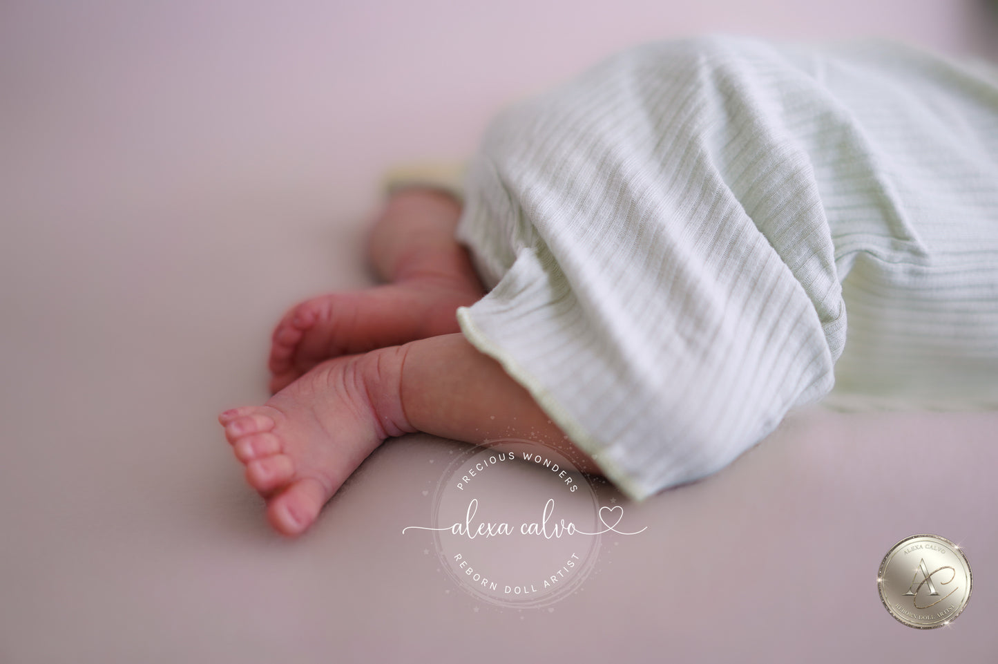 Baby Lucas - Prototipo de Cassie Brace, Reborn de Alexa Calvo 