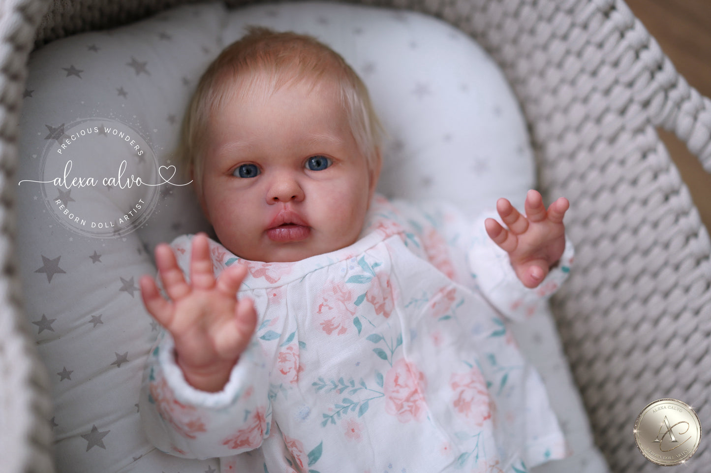 Baby Ellie  - Prototype by Irina Kvetkovskaya, Reborn by Alexa Calvo