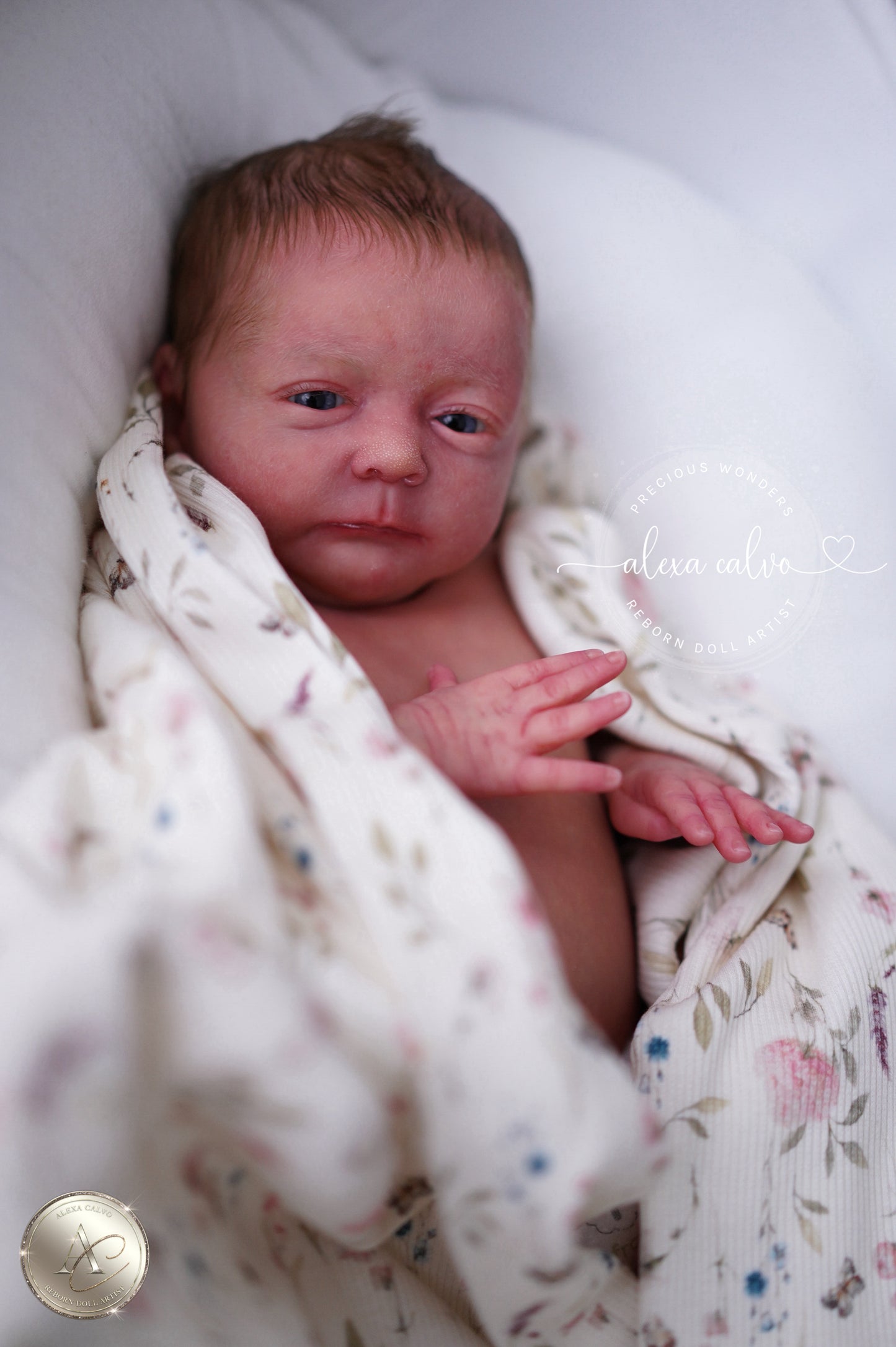 Baby Melissa  - Prototype by Viviane Aleluia, Reborn by Alexa Calvo