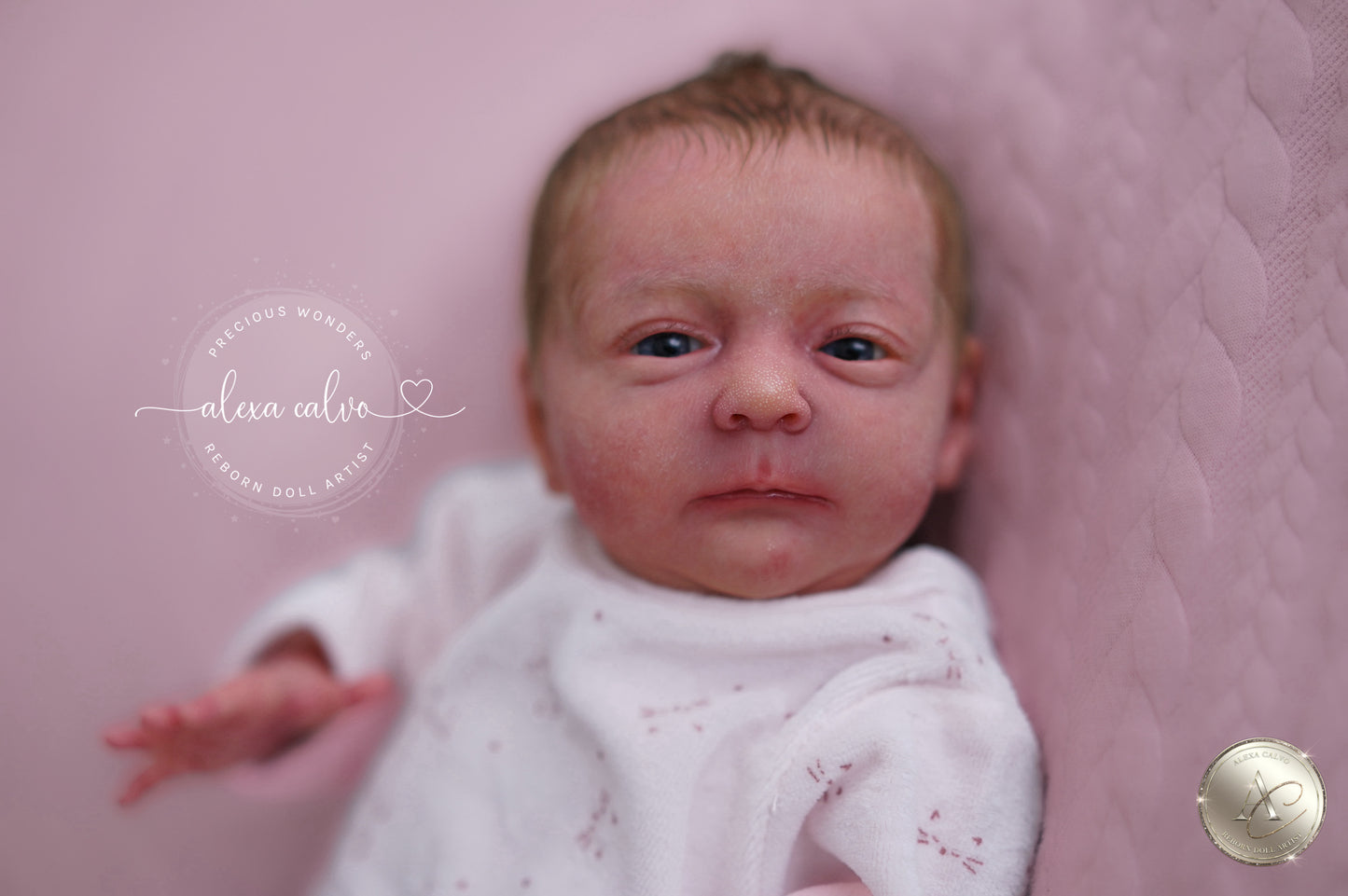 Baby Melissa  - Prototype by Viviane Aleluia, Reborn by Alexa Calvo