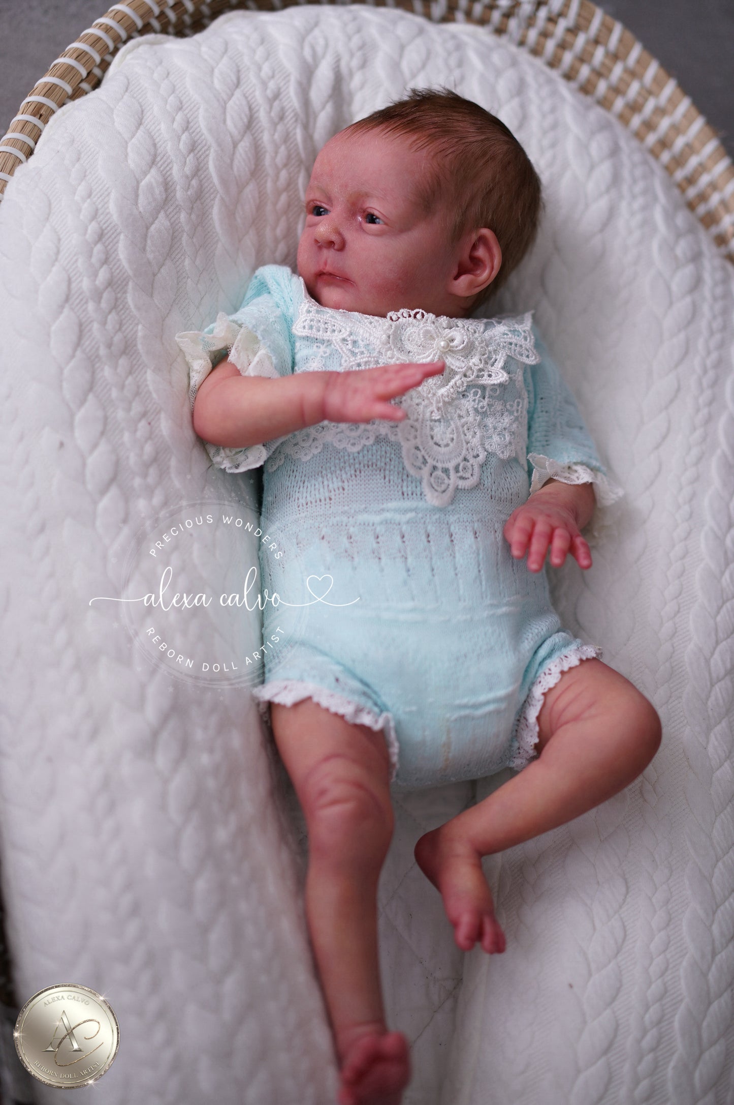 Baby Melissa  - Prototype by Viviane Aleluia, Reborn by Alexa Calvo