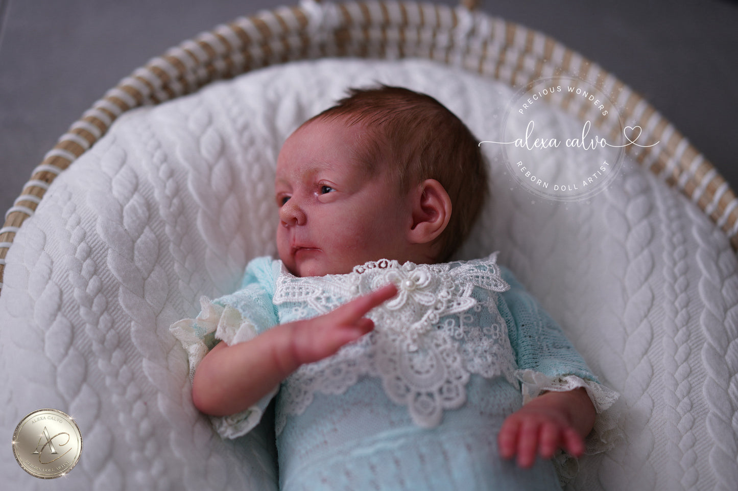 Baby Melissa  - Prototype by Viviane Aleluia, Reborn by Alexa Calvo