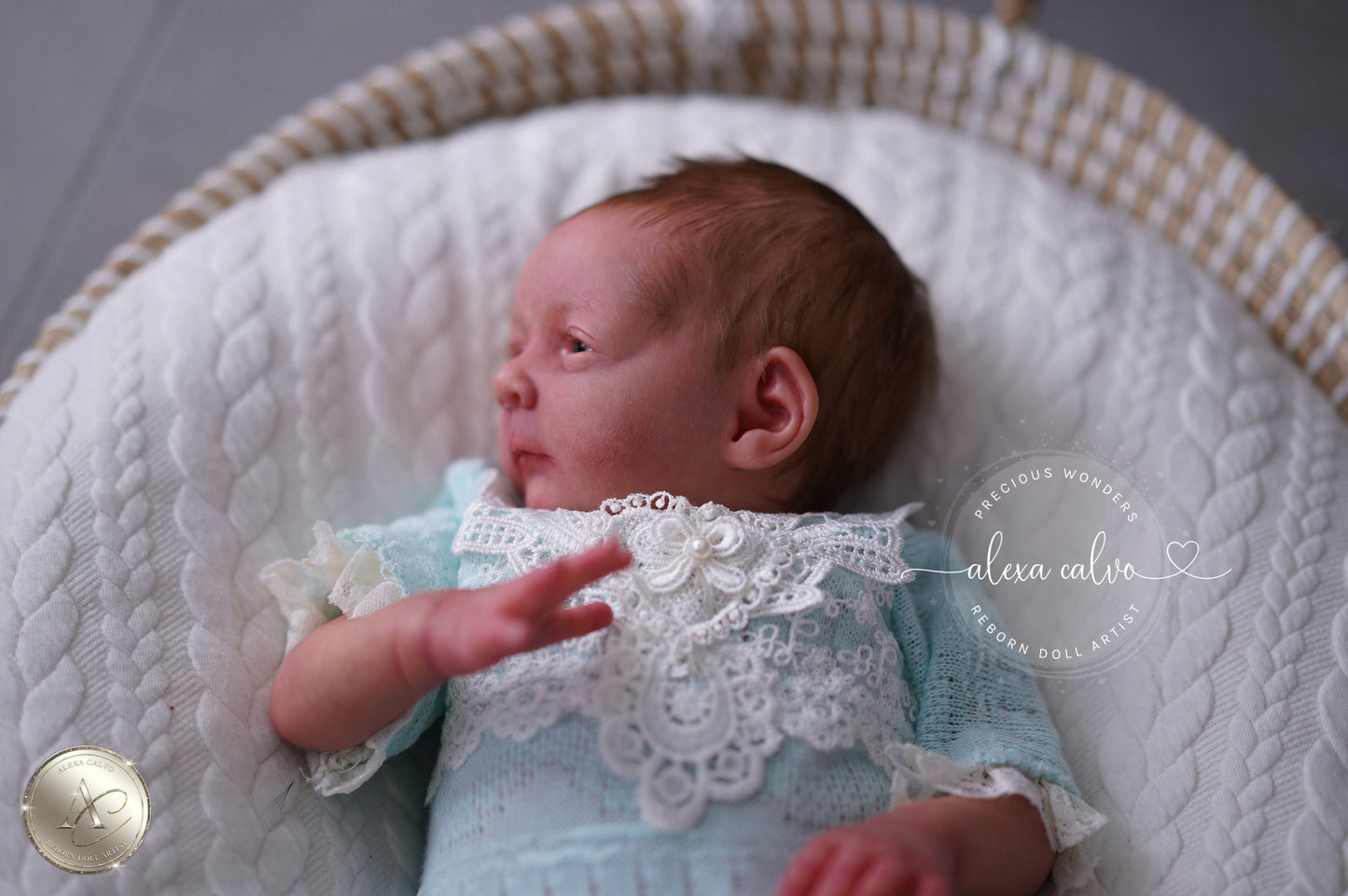 Baby Melissa  - Prototype by Viviane Aleluia, Reborn by Alexa Calvo