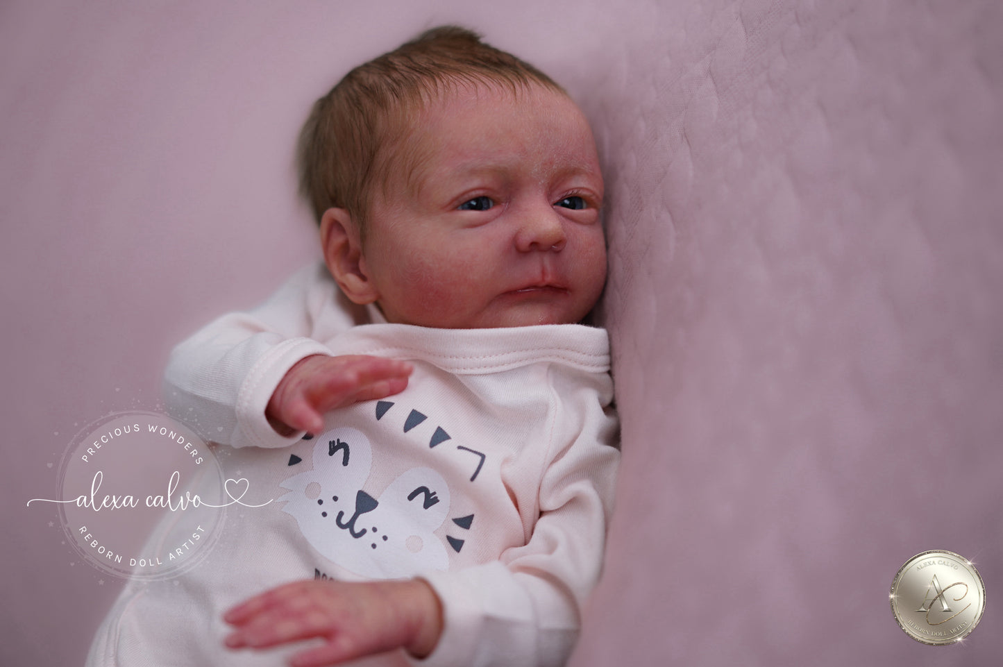 Baby Melissa  - Prototype by Viviane Aleluia, Reborn by Alexa Calvo