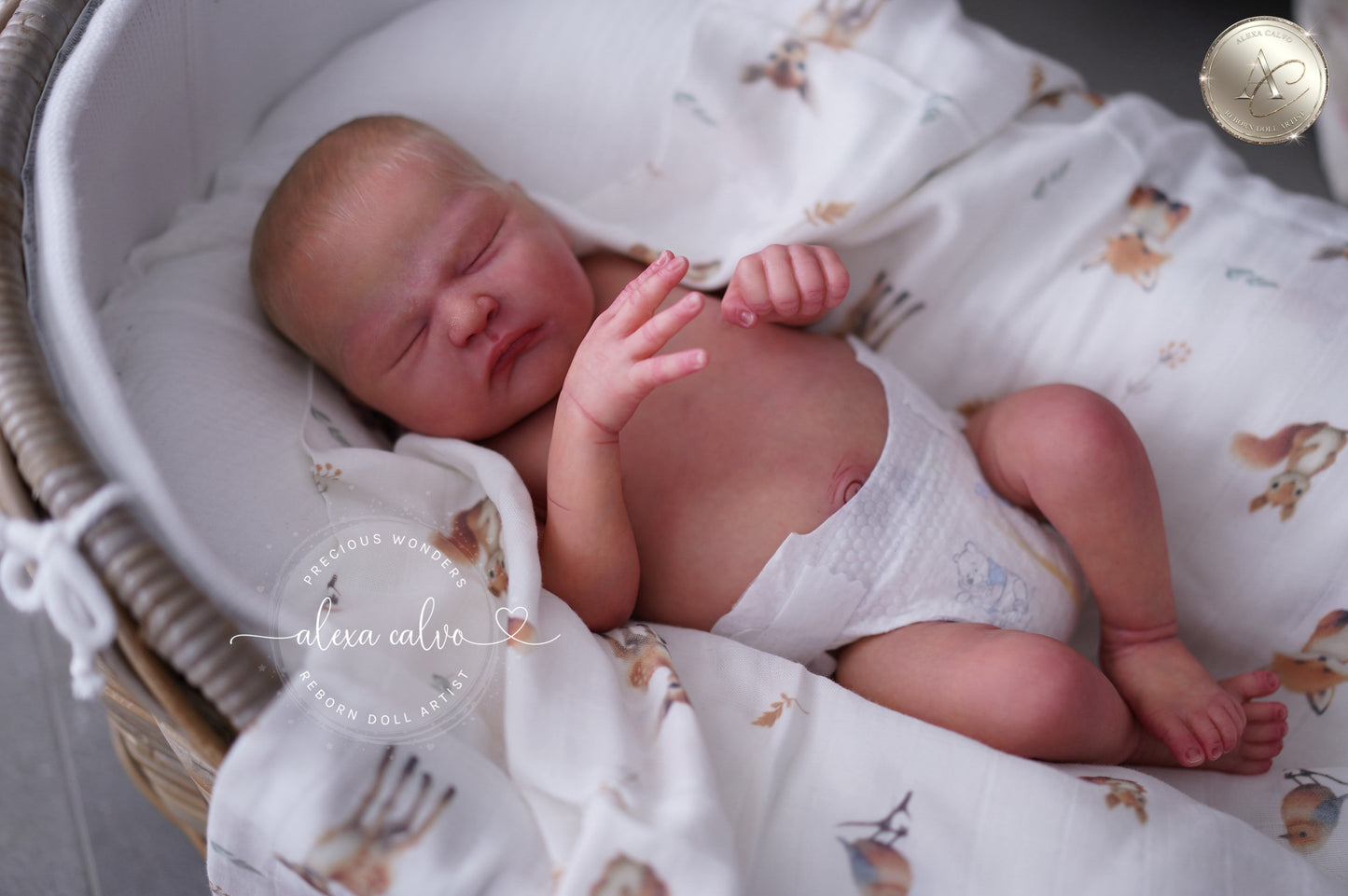 Baby Zachary – Prototyp von Lisa Stone, Reborn von Alexa Calvo 