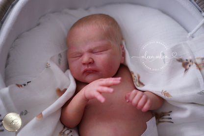 Baby Zachary - Prototype by Lisa Stone, Reborn by Alexa Calvo