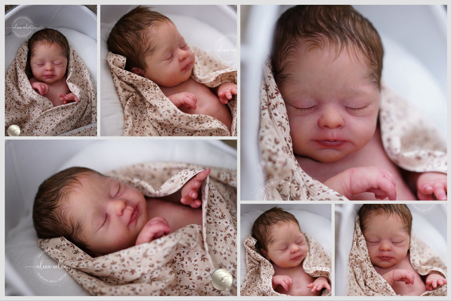 Baby Avalynn  - Prototype by Sabine Altenkirch, Reborn by Alexa Calvo